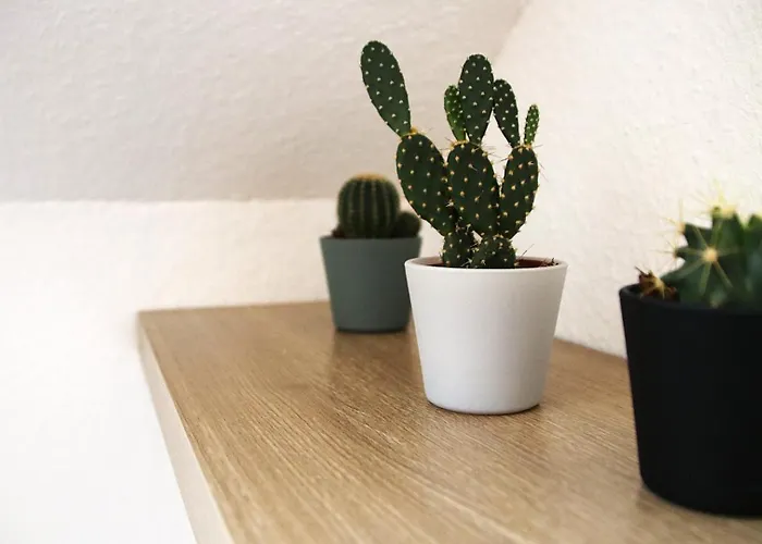 Dimis-apartment Lejlighed Köln