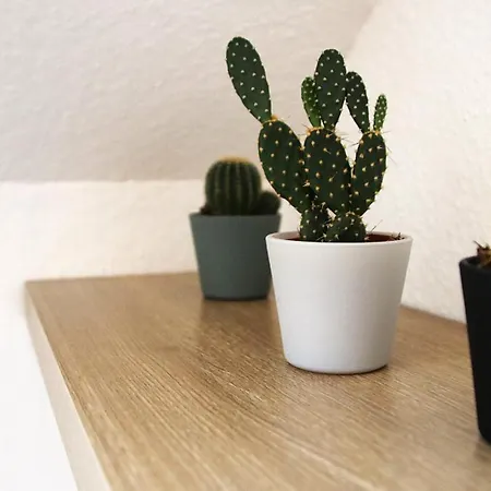 Dimis-apartment Apartment Cologne